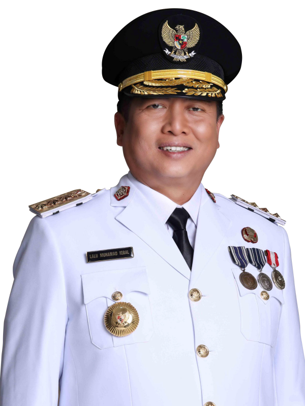 Dr. H. Lalu Muhammad Iqbal, M.Hub.Int