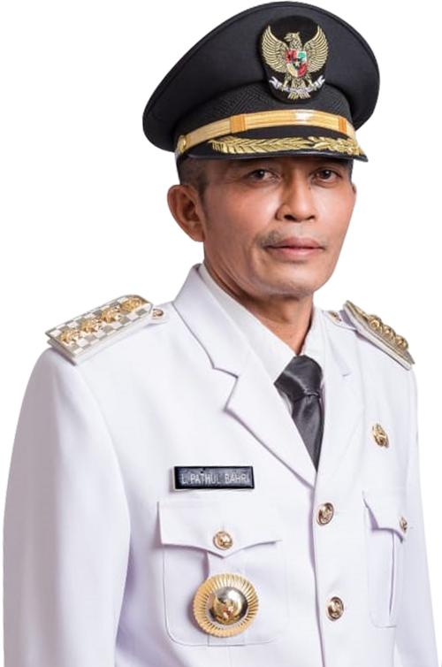 H. Lalu Pathul Bari, S.IP, M.AP