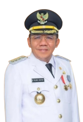 Dr. H. Najmul Akhyar S.H., M.H.